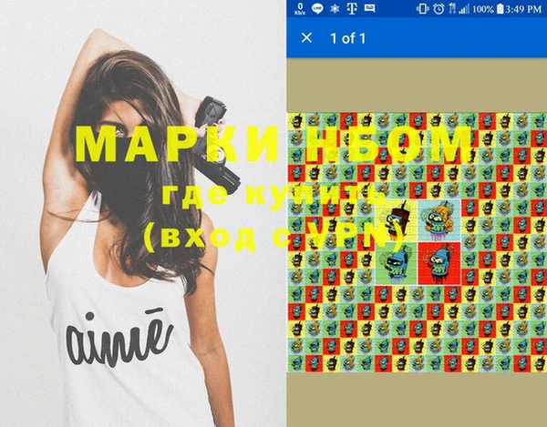 индика Абинск